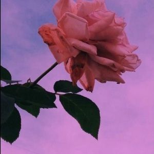 Meet your Posher, Shaila